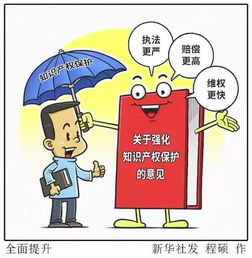 金華出臺知識產權新政，企業可享多項優惠政策與服務支持